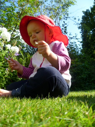 Mila probiert Blumen