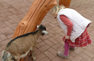 Mila mit Ziege