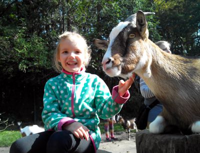 Mila im Tierpark